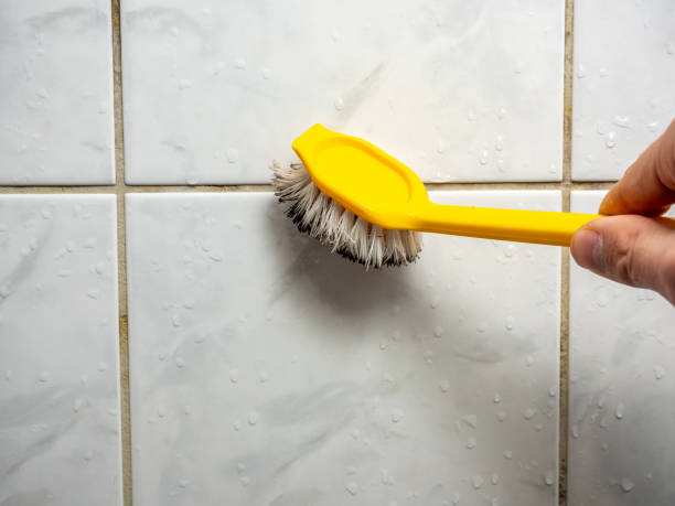 Best Black Mold Remediation in Country Walk, FL